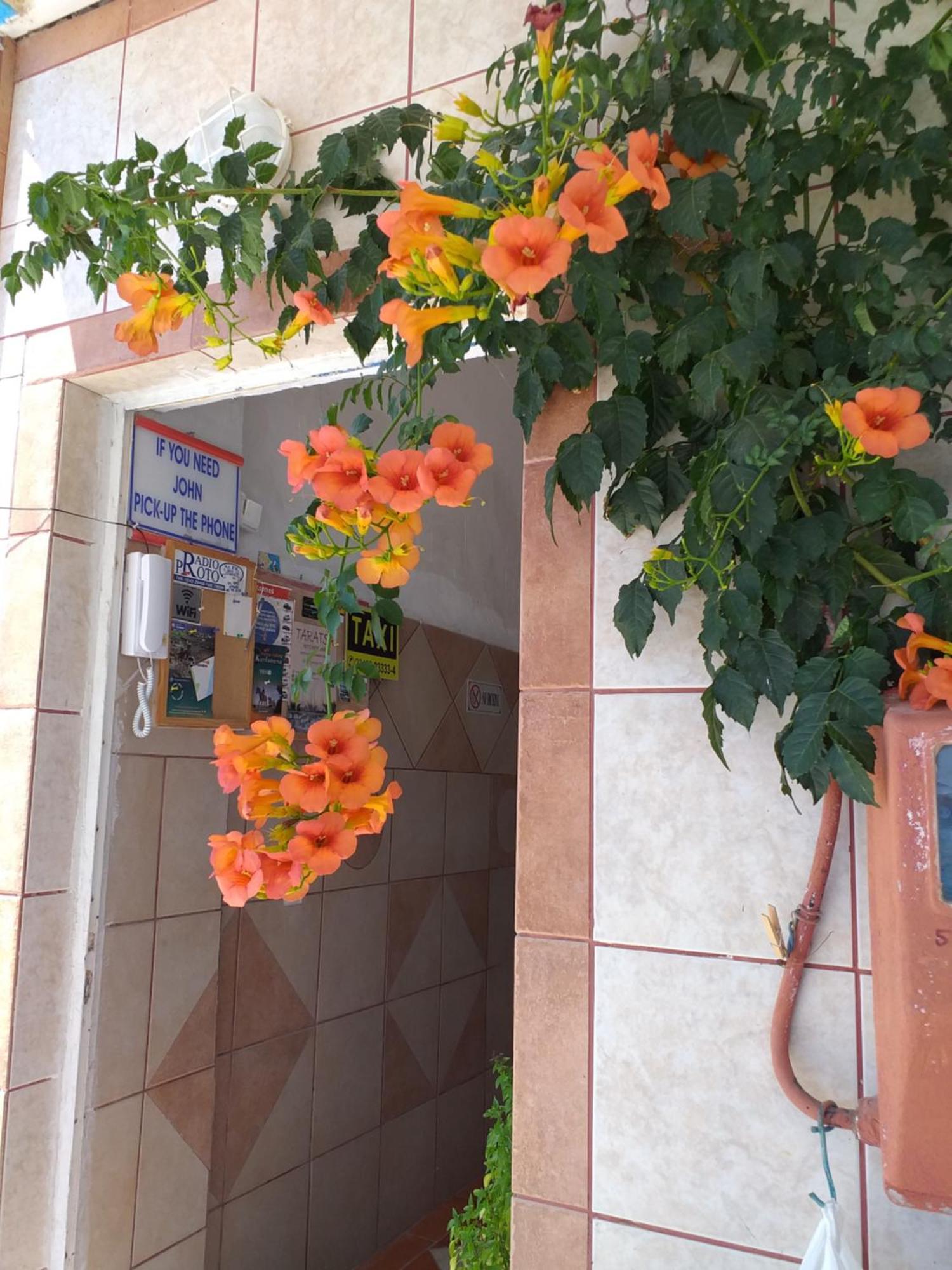 Ladikos Beach Hotel Kardamena  Ngoại thất bức ảnh